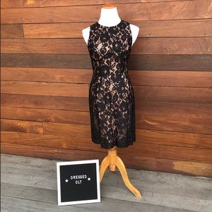 French Connection NWT Lace Dress